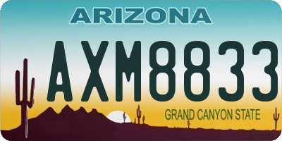 AZ license plate AXM8833
