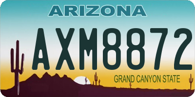 AZ license plate AXM8872