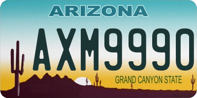 AZ license plate AXM9990