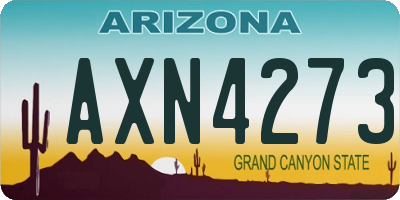 AZ license plate AXN4273