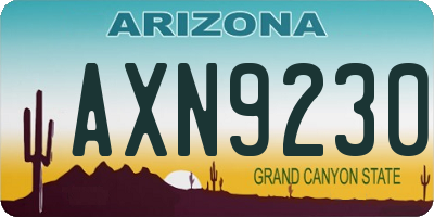 AZ license plate AXN9230