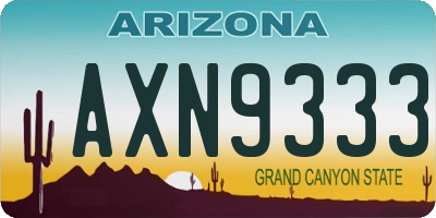 AZ license plate AXN9333