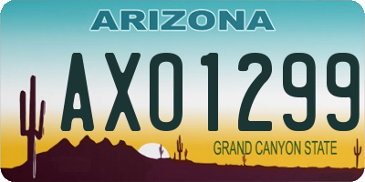 AZ license plate AXO1299