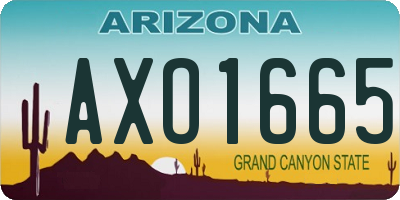 AZ license plate AXO1665