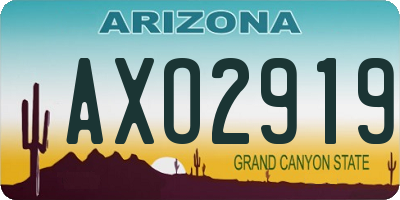 AZ license plate AXO2919