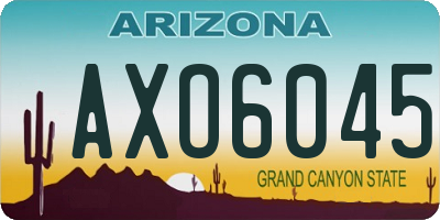 AZ license plate AXO6045
