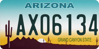 AZ license plate AXO6134