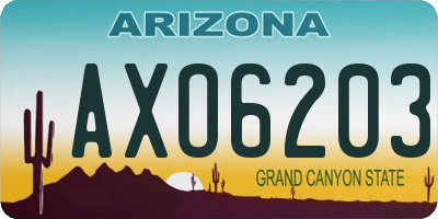 AZ license plate AXO6203