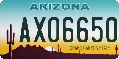 AZ license plate AXO6650