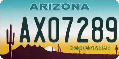 AZ license plate AXO7289