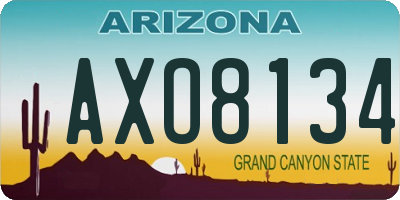 AZ license plate AXO8134