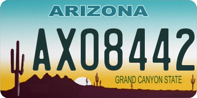 AZ license plate AXO8442