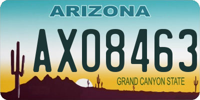 AZ license plate AXO8463