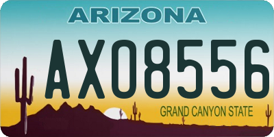 AZ license plate AXO8556