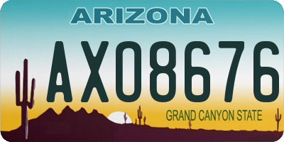 AZ license plate AXO8676