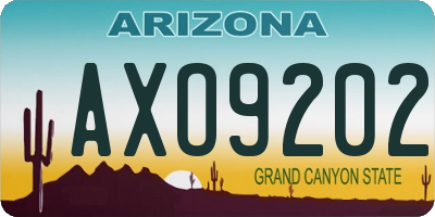 AZ license plate AXO9202
