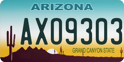 AZ license plate AXO9303