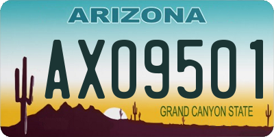 AZ license plate AXO9501