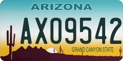 AZ license plate AXO9542