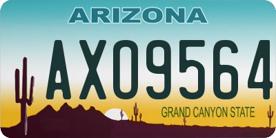 AZ license plate AXO9564