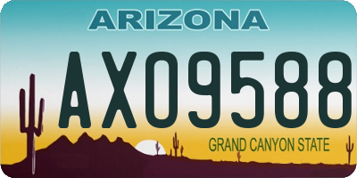 AZ license plate AXO9588