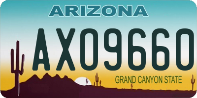 AZ license plate AXO9660