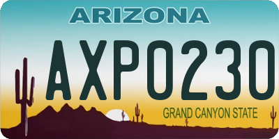 AZ license plate AXP0230