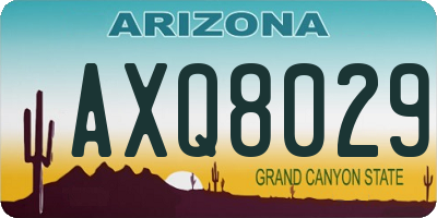 AZ license plate AXQ8029