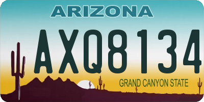 AZ license plate AXQ8134