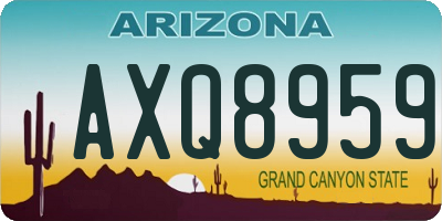 AZ license plate AXQ8959