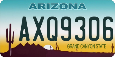 AZ license plate AXQ9306