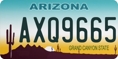 AZ license plate AXQ9665