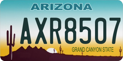 AZ license plate AXR8507