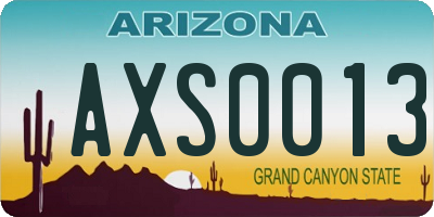AZ license plate AXS0013