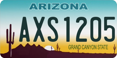 AZ license plate AXS1205