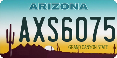 AZ license plate AXS6075
