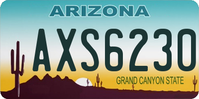 AZ license plate AXS6230