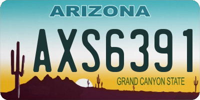 AZ license plate AXS6391