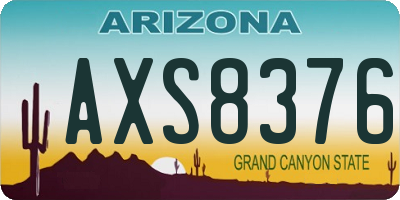 AZ license plate AXS8376