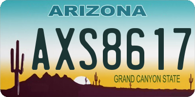 AZ license plate AXS8617
