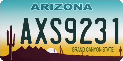 AZ license plate AXS9231