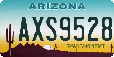 AZ license plate AXS9528