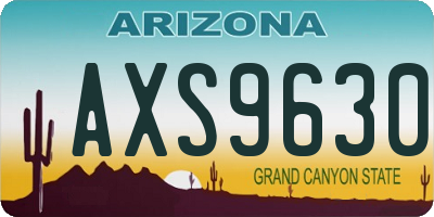 AZ license plate AXS9630
