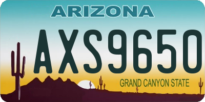 AZ license plate AXS9650