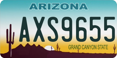 AZ license plate AXS9655