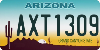 AZ license plate AXT1309