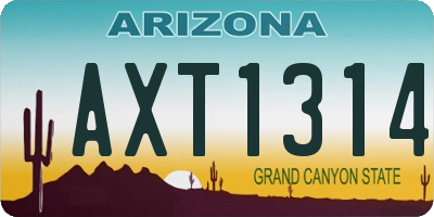 AZ license plate AXT1314