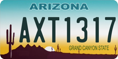 AZ license plate AXT1317
