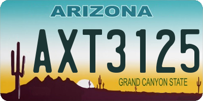 AZ license plate AXT3125
