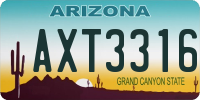 AZ license plate AXT3316